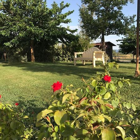 Country House Podere Le Rane Felici Fauglia ภายนอก รูปภาพ