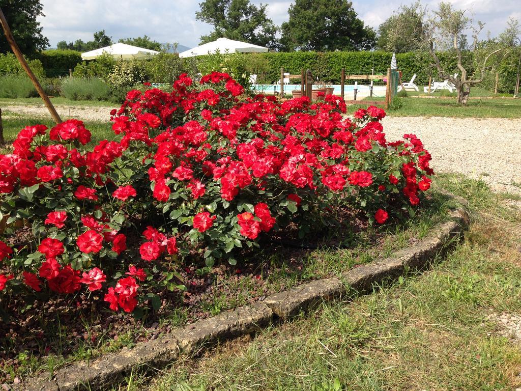 Country House Podere Le Rane Felici Fauglia ภายนอก รูปภาพ